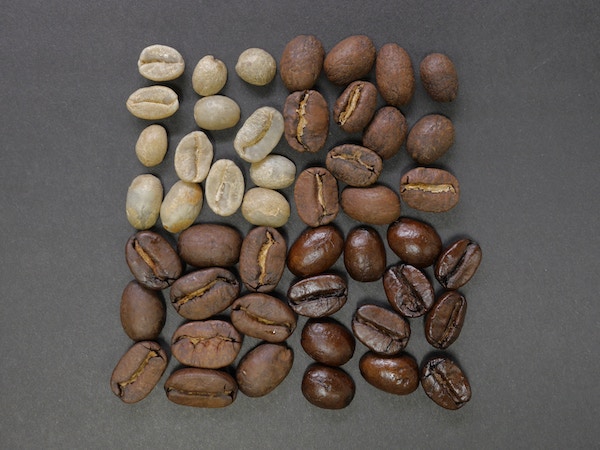 Conserver cafe grains
