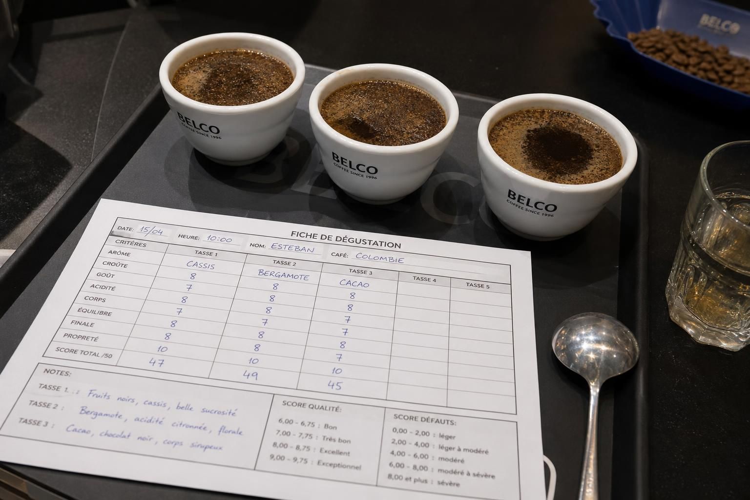 découvrez notre guide de dégustation (cupping) pour apprendre à identifier et apprécier les notes aromatiques des cafés avec précision et plaisir.